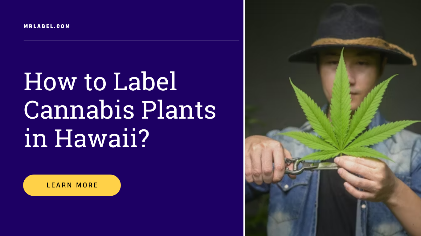 Cannabis plant labeling in Hawaii