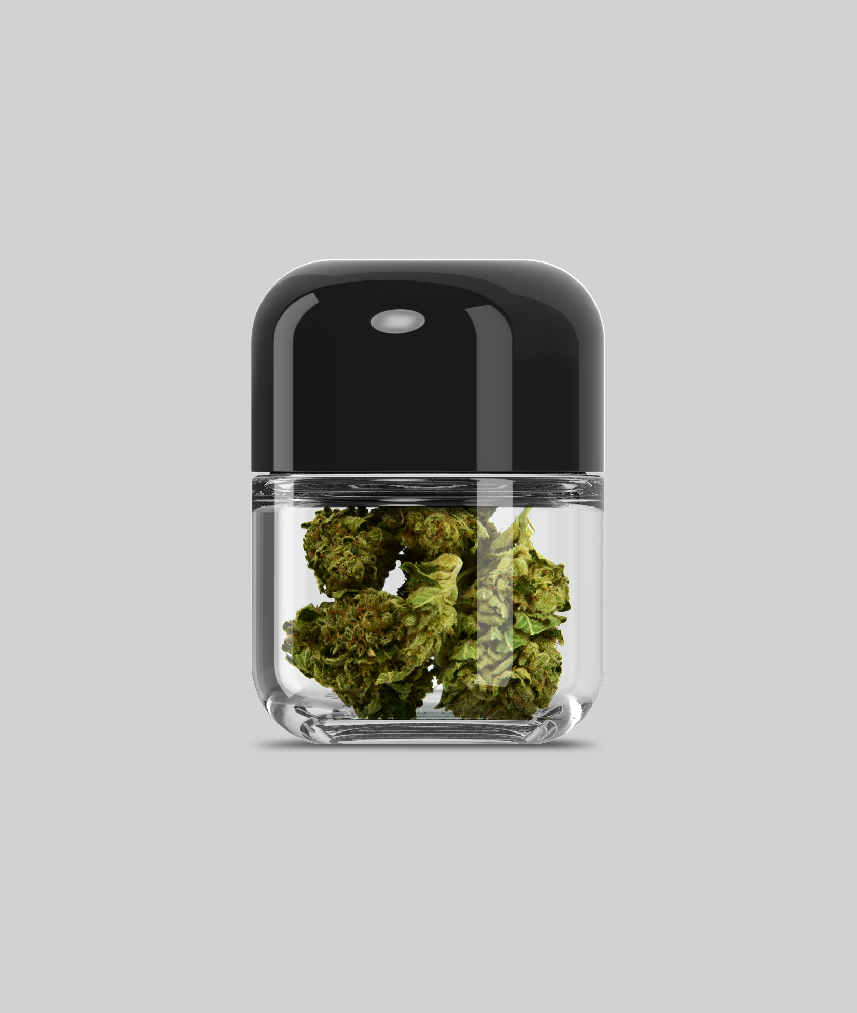 cannabis jars